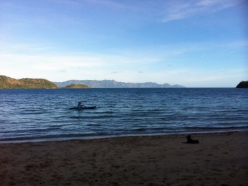 Terence on his kayak trying to catch lunch, and on the beach their ’jungle dog’ 