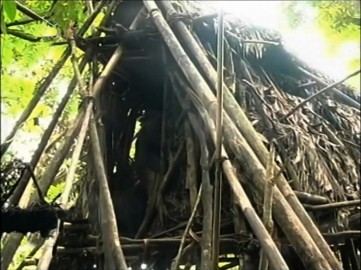 Ho Van Lang last tree hut shelter