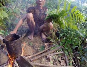 Lang eating any leaves he finds in the jungle