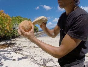best way to open coconut
