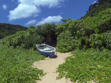 Sotobanari desert Island Iriomote Okinawa Japan 